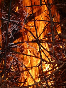 Burn firelight embers