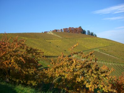 Bottenau golden october oberkirch