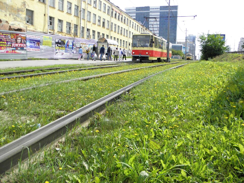 Grass transport vehicle