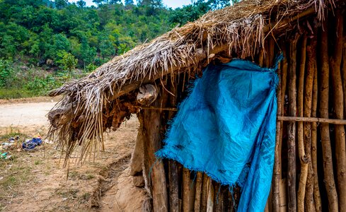 Landscape hut forest photo