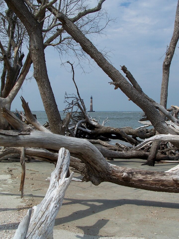 Folly beach driftwood lighthouse