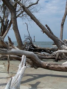Folly beach driftwood lighthouse