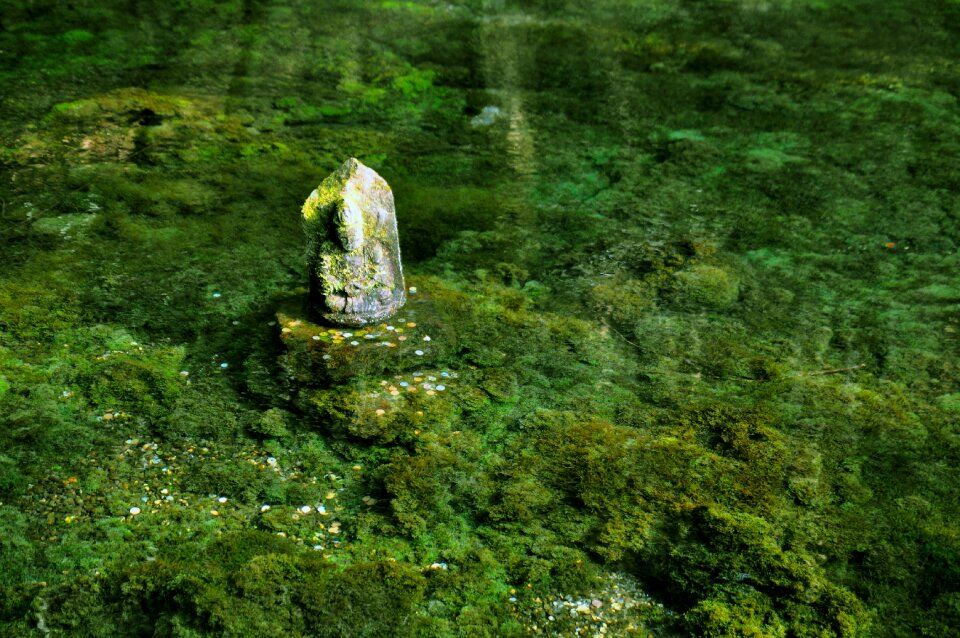 Water ikeyama river therivers