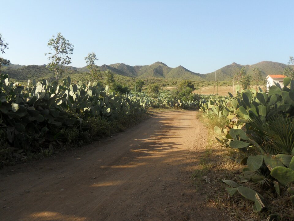 Níjar tourism landscapes