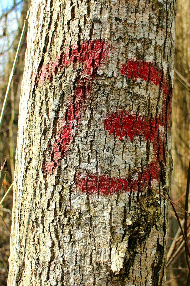 Symbol unlucky number odd