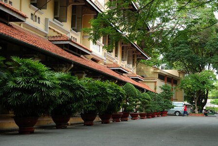 Saigon university of science trees photo