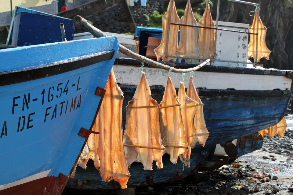 Ocean food nutrition