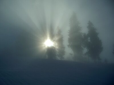 Trees sunbeam allgäu photo