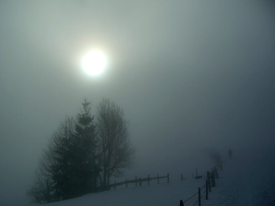 Snow fence sun