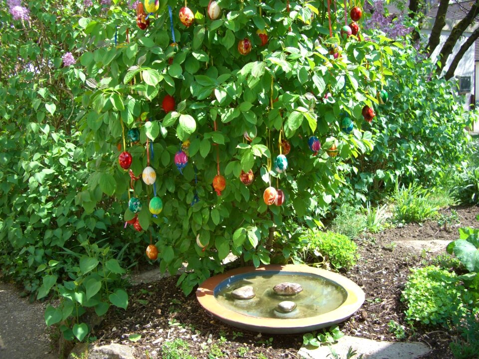 Easter eggs easter green