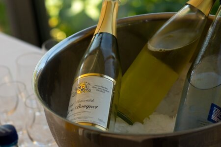 Bottle bucket ice