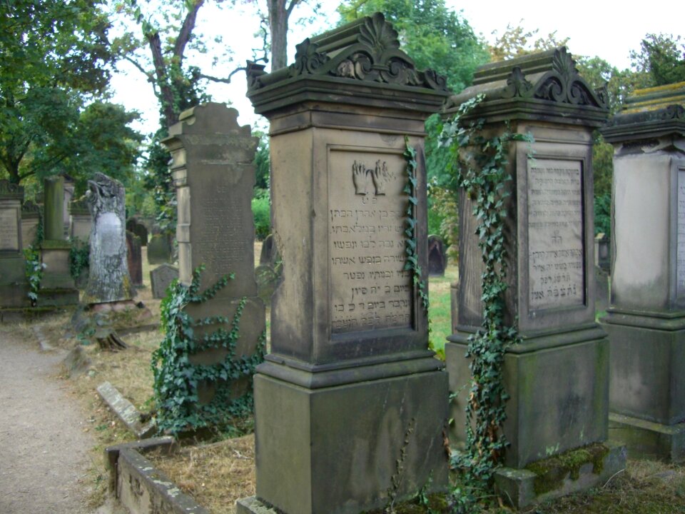 Grave stones jewish cemetery worms