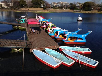 Kumamoto japan water photo