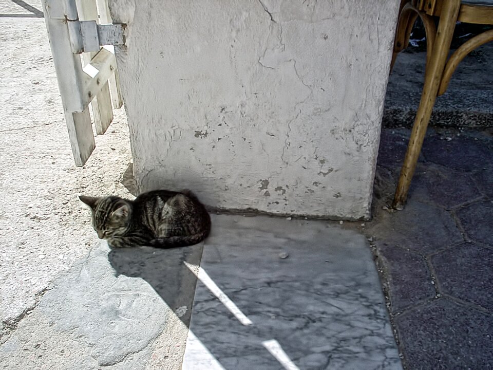 Sweet tunisia the republic of tunisia