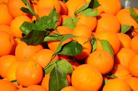 Fruit citrus fruit farmers local market photo