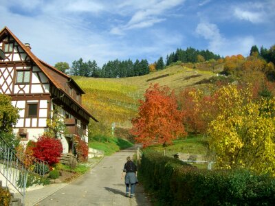 Fachwerkhaus sky blue