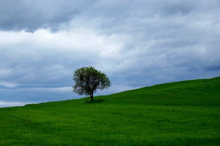 Meadow nature spain photo