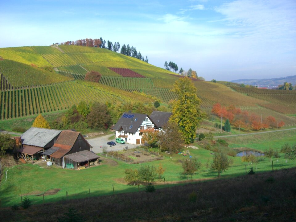 Autumn eunice hof bottenau