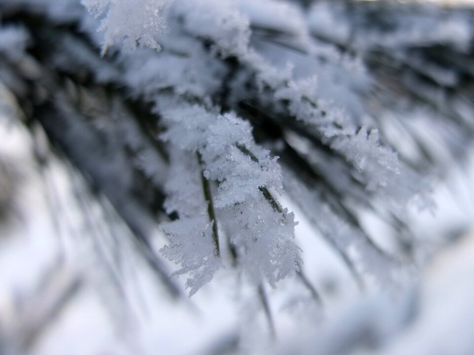 Snowy wintry winter magic