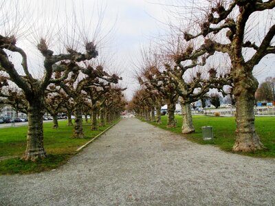 Mood lake constance kreuzlingen