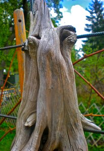 Natural art forest proboscis