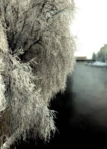 Winter snow ice photo