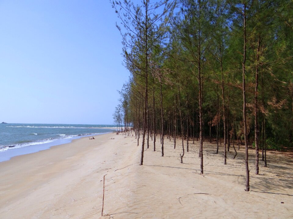 Arabian sea karwar india