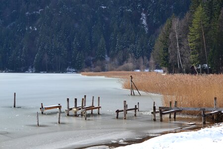 Reed allgäu lake in winter
