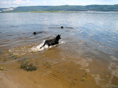 Summer sun volga