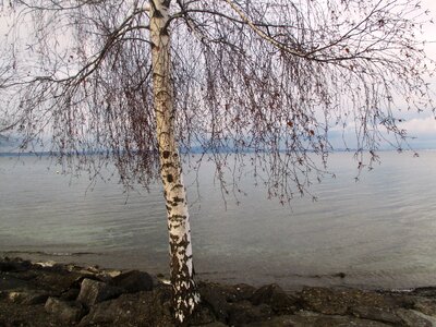 Winter stones water