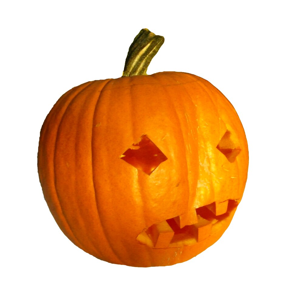 Thanksgiving autumn orange decoration