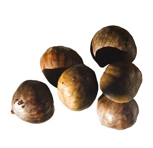Brown autumn decoration