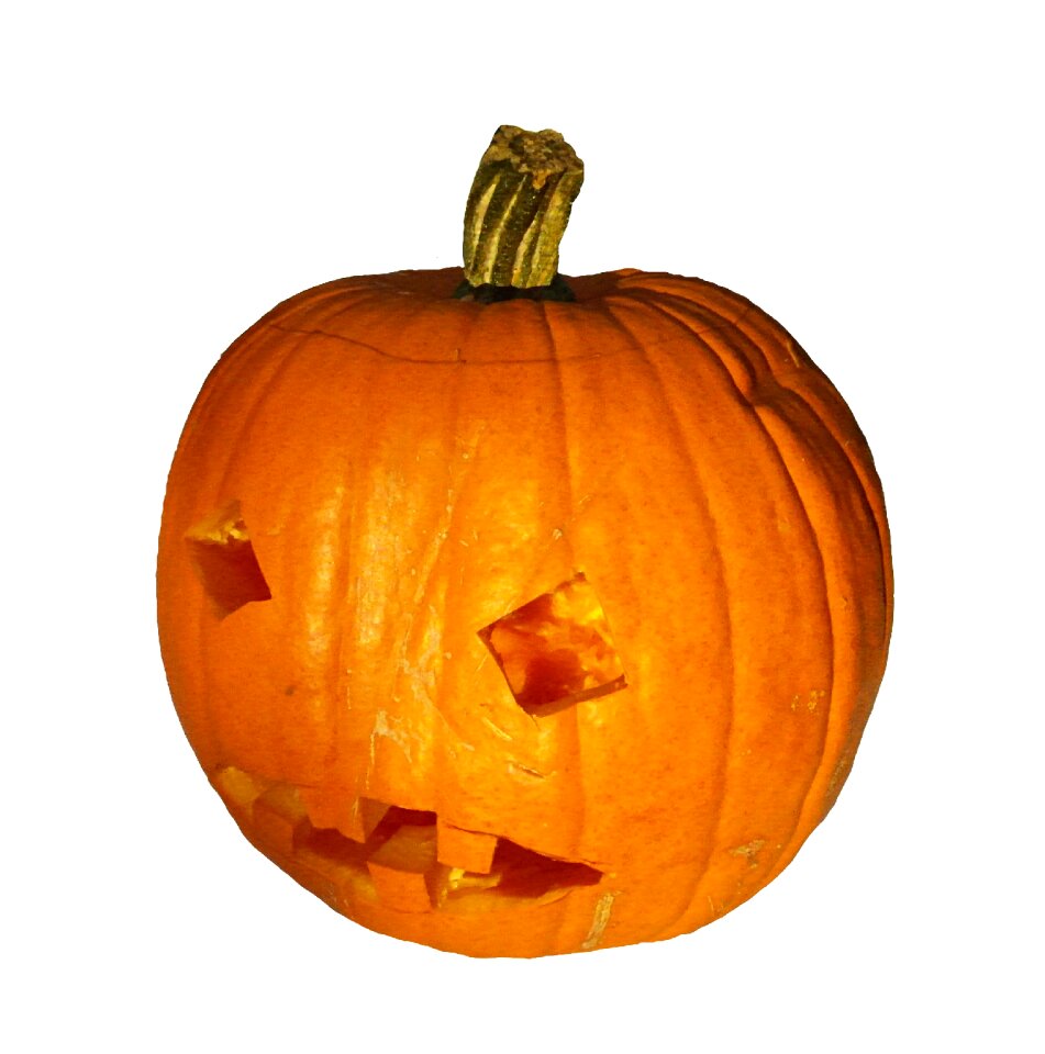 Thanksgiving orange autumn