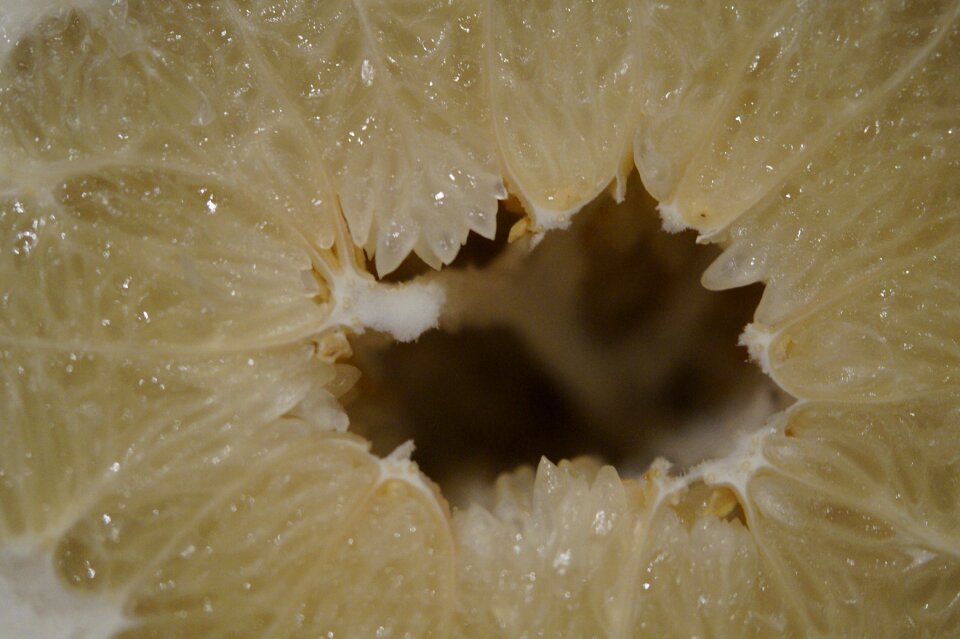 Cavity hole fruit
