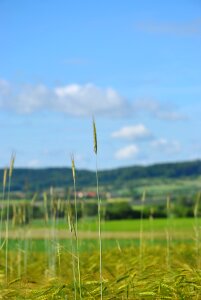 Sky landscape nature