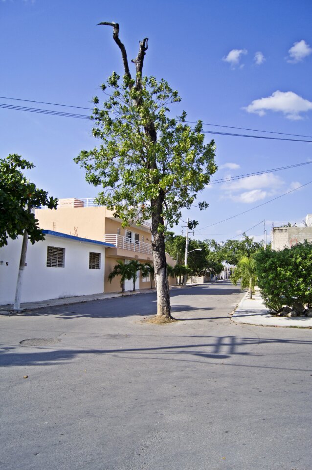 Street avenue path