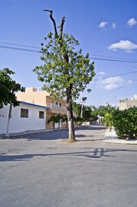 Street avenue path photo