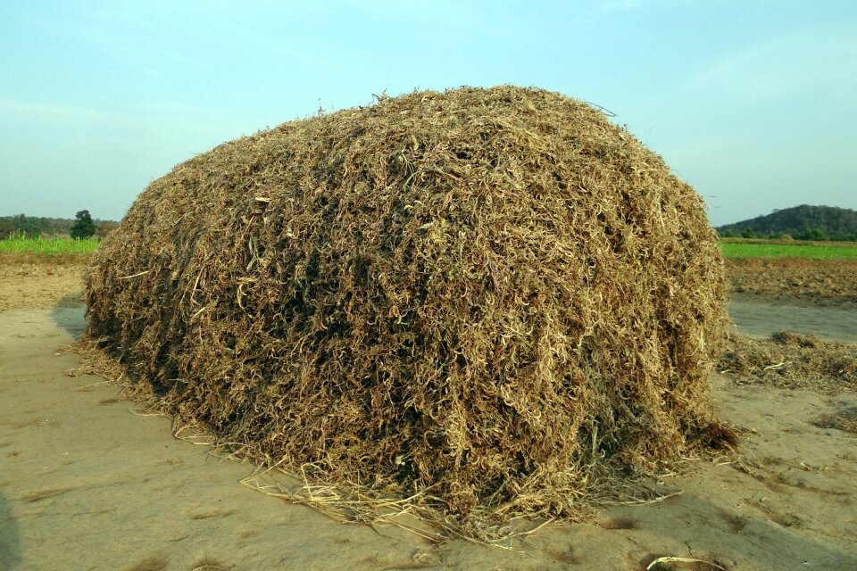 Crop residue fodder stack