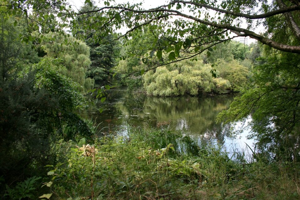 Garden lake buckingham palace