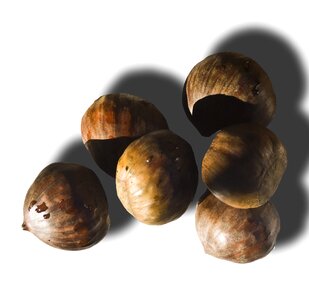 Brown autumn decoration