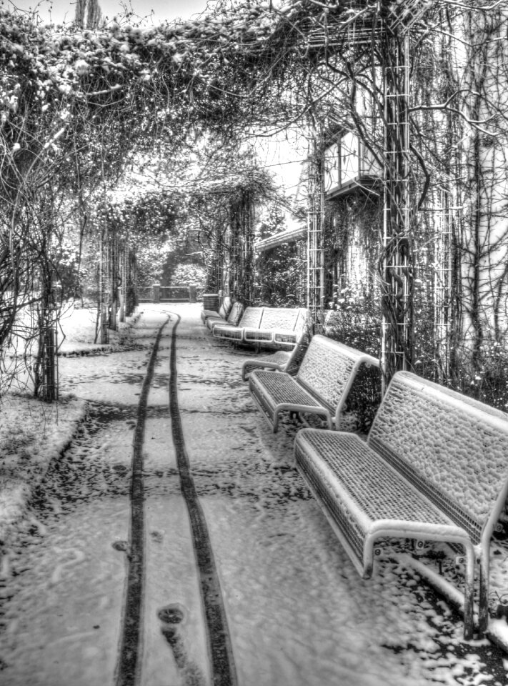Snow winter traces