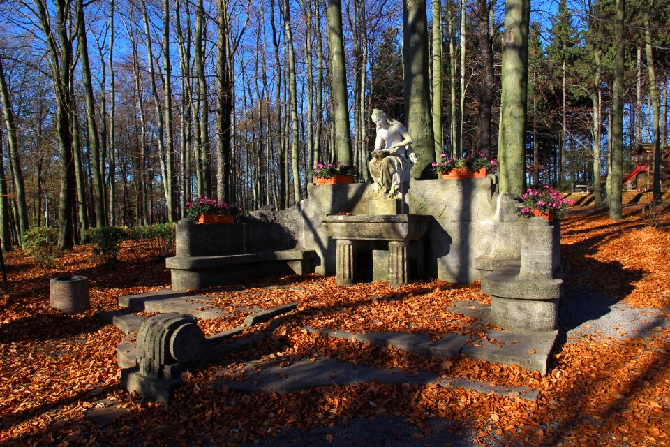 Sculpture fountain forest