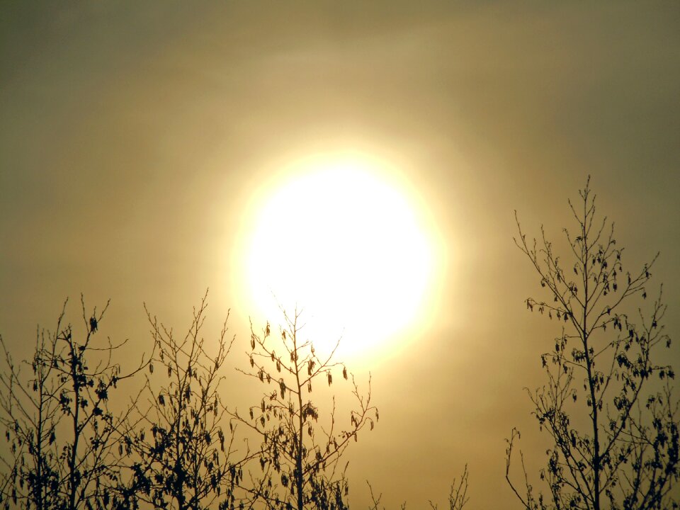Morning haze sunrise backlighting