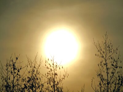Morning haze sunrise backlighting