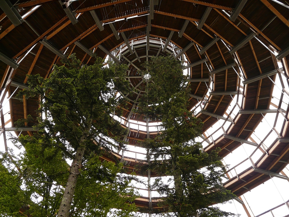 Construction observation tower platform