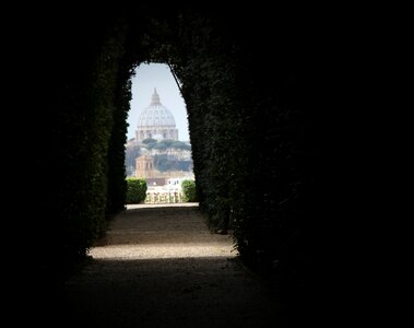Hedge vatican cathedral
