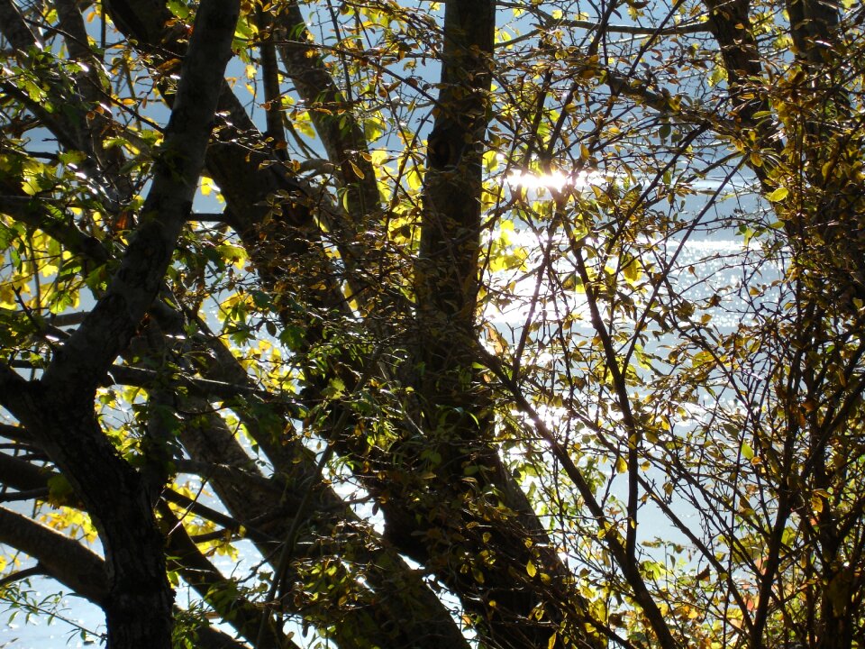 Sun landscape nature
