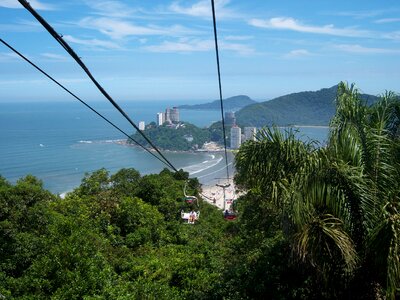 Tropical vegetation beach são vicente photo