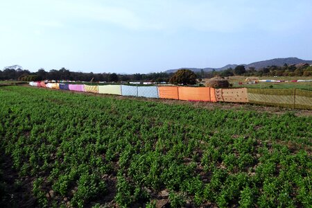 Crop saree fencing india