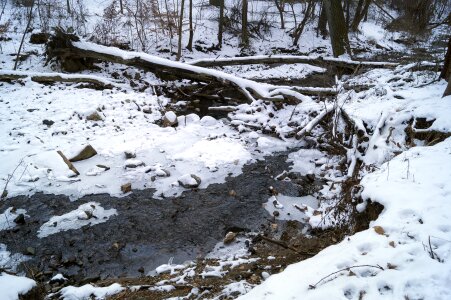 Baltimore waverly park creek